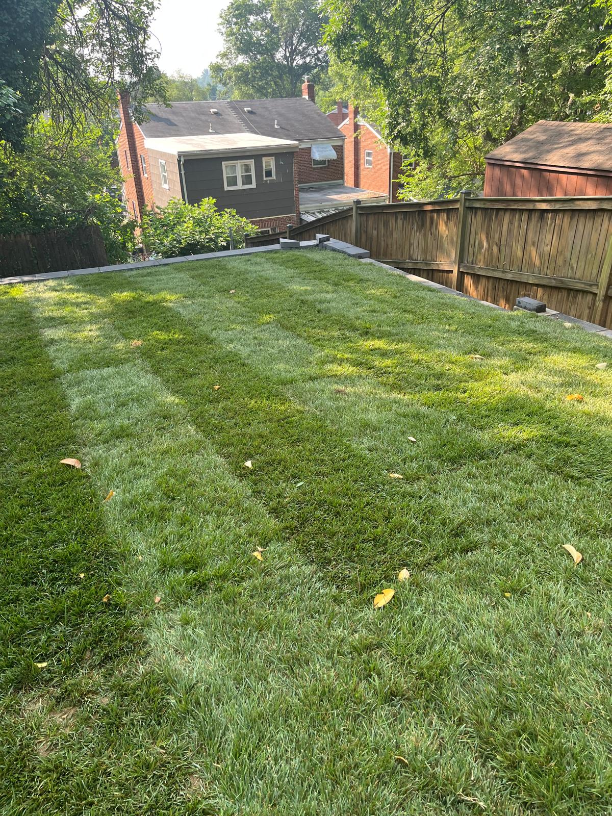 Crisp green summer lawn with clean mowing lines by Kaeler